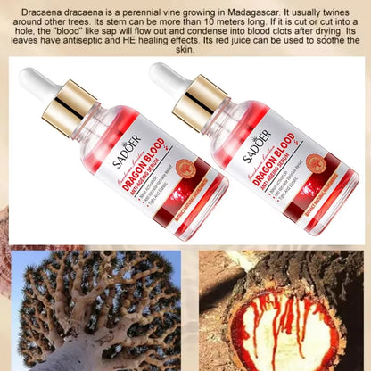 2Pcs Royal Dragon Blood Serum Face Tightener Placenta Face Moisturizing Firming Retinol Essence Korean Cosmetics Beauty